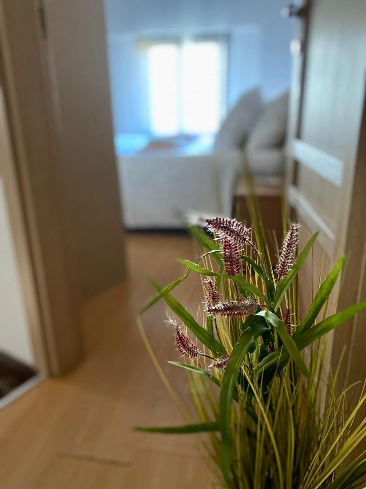 AronionCasa Del Solアパートメント エクステリア 写真